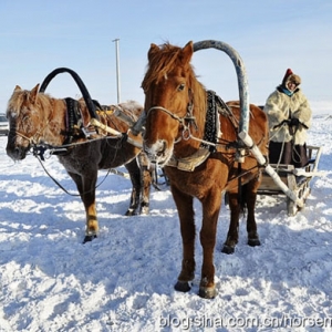 鄂溫克：冰雪世界的馬背情懷